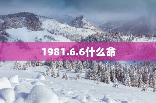 1981.6.6什么命