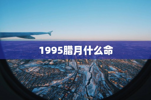 1995腊月什么命