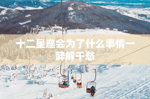 十二星座会为了什么事情一醉解千愁