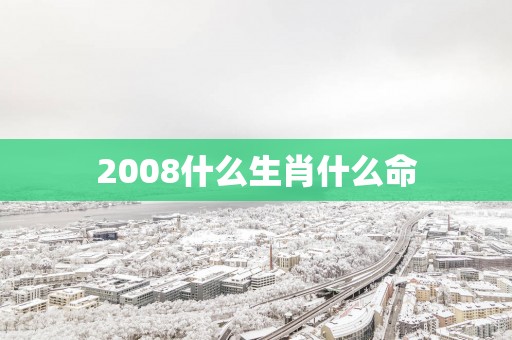 2008什么生肖什么命