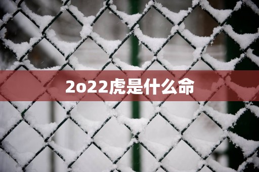 2o22虎是什么命
