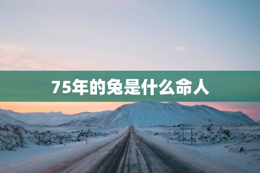 75年的兔是什么命人