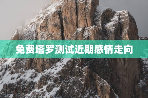 免费塔罗测试近期感情走向