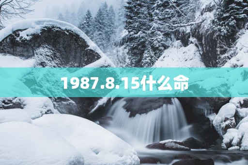 1987.8.15什么命