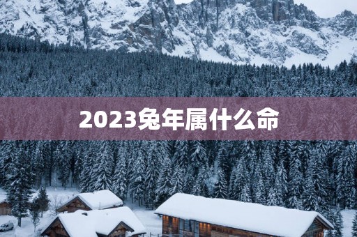 2025蛇年属什么命