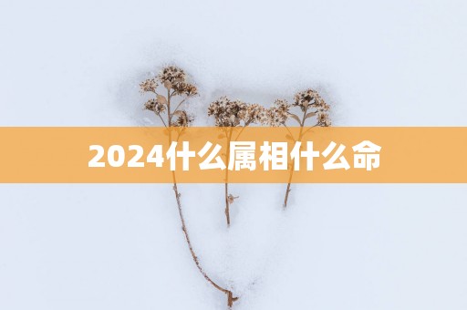 2025什么属相什么命