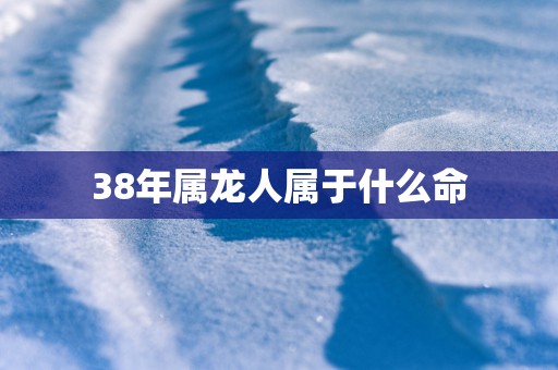 38年属龙人属于什么命