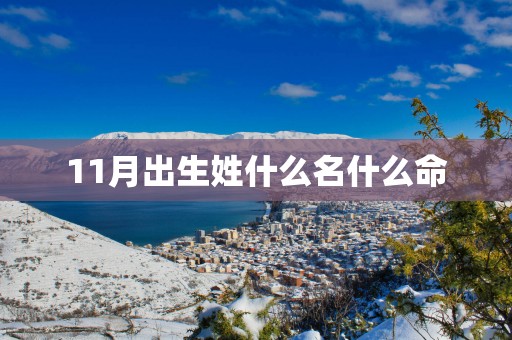 11月出生姓什么名什么命