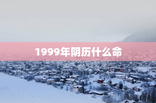 1999年阴历什么命