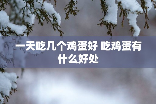 一天吃几个鸡蛋好 吃鸡蛋有什么好处
