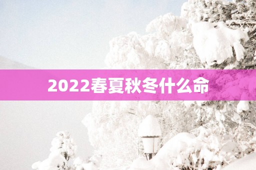 2025春夏秋冬什么命