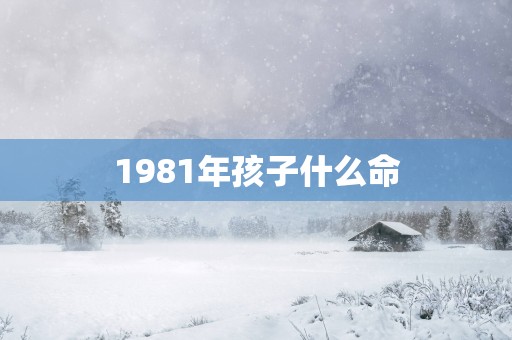 1981年孩子什么命
