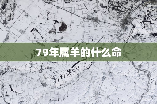 79年属羊的什么命