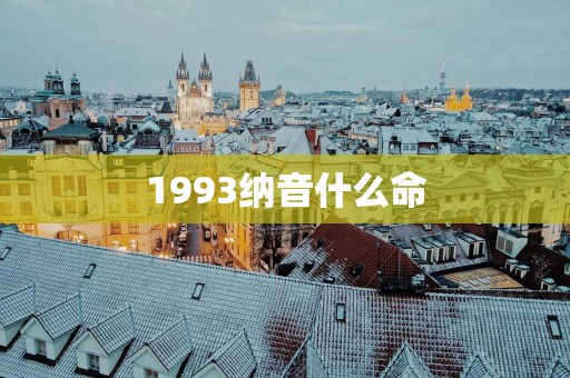 1993纳音什么命