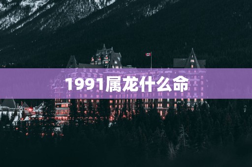 1991属龙什么命