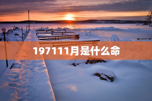 197111月是什么命