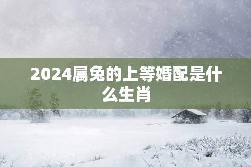 2025属兔的上等婚配是什么生肖