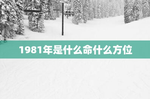 1981年是什么命什么方位