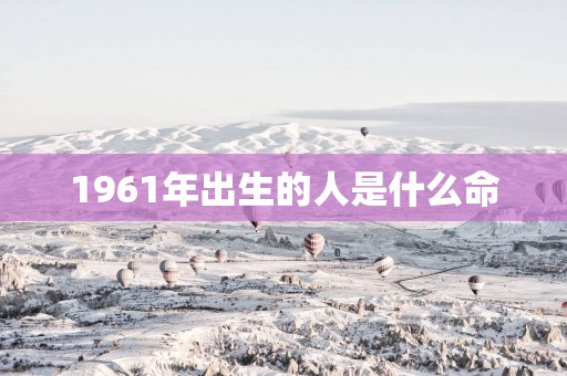 1961年出生的人是什么命