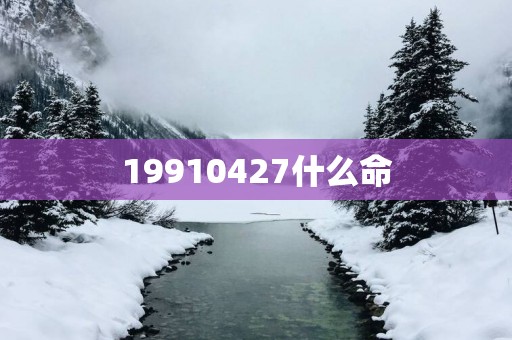 19910427什么命