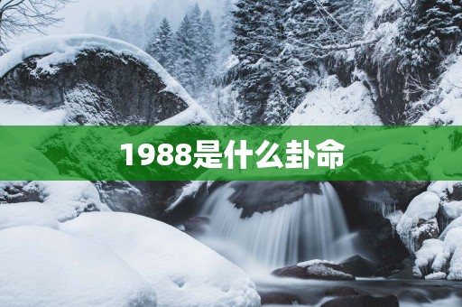 1988是什么卦命
