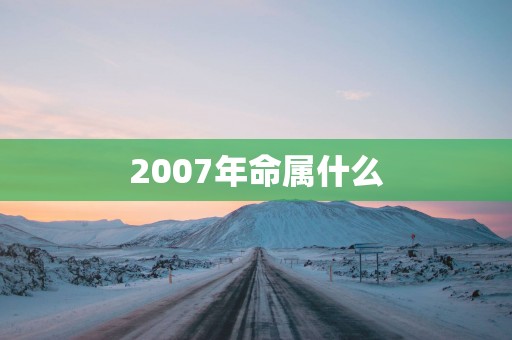 2007年命属什么