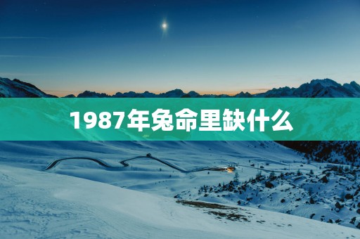 1987年兔命里缺什么