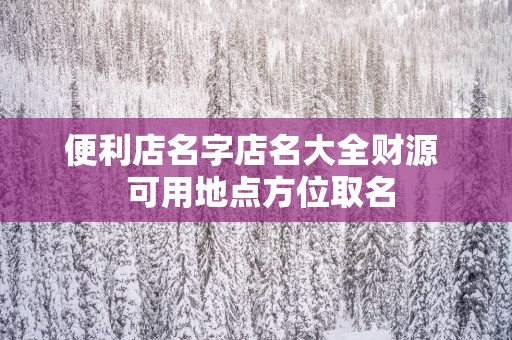 便利店名字店名大全财源  可用地点方位取名