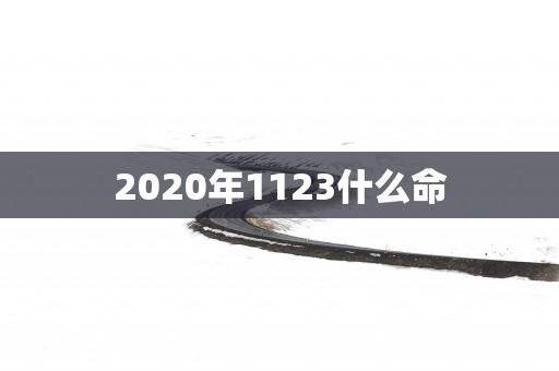 2025年1123什么命