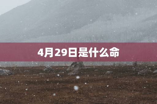 4月29日是什么命