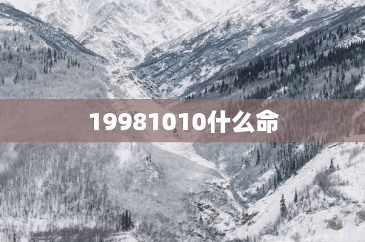 19981010什么命