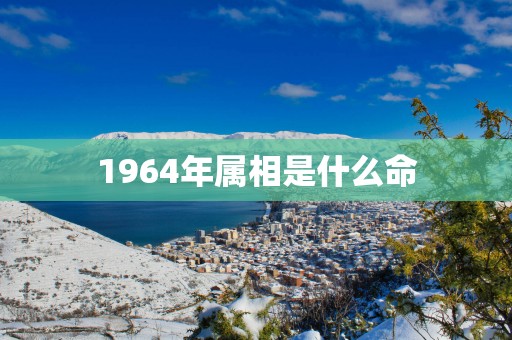 1964年属相是什么命