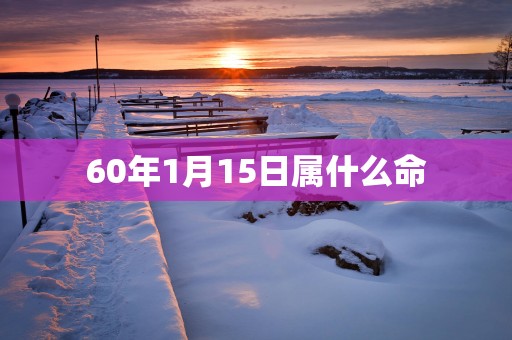 60年1月15日属什么命