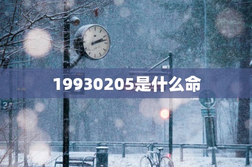 19930205是什么命