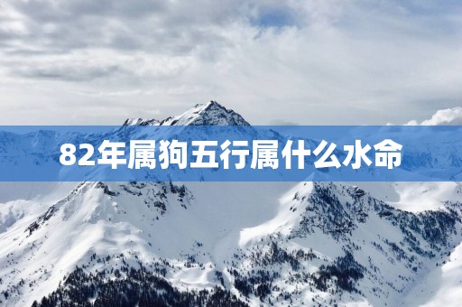 82年属狗五行属什么水命