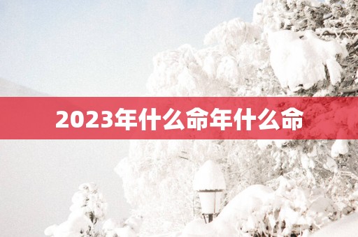 2025年什么命年什么命