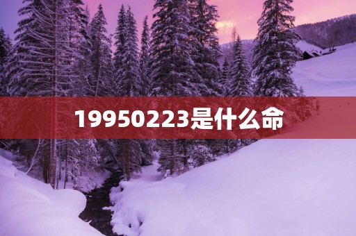 19950223是什么命
