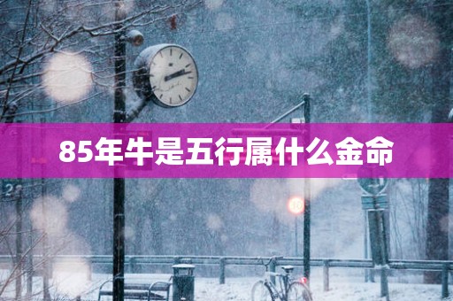 85年牛是五行属什么金命