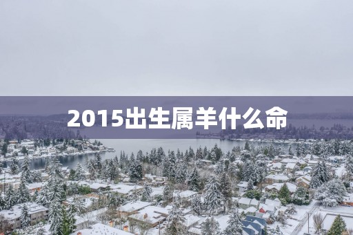 2015出生属羊什么命