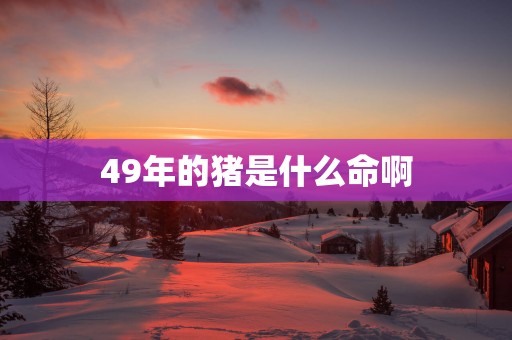 49年的猪是什么命啊