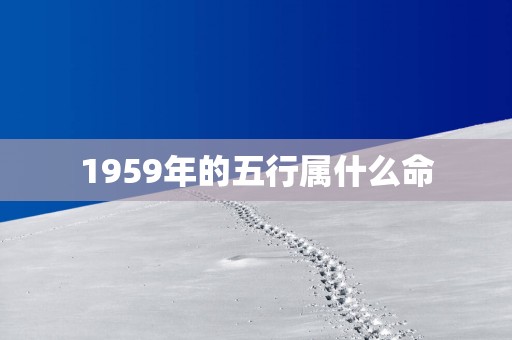 1959年的五行属什么命