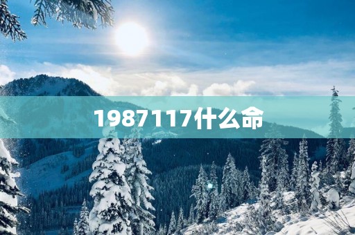 1987117什么命
