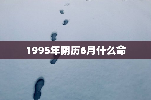 1995年阴历6月什么命