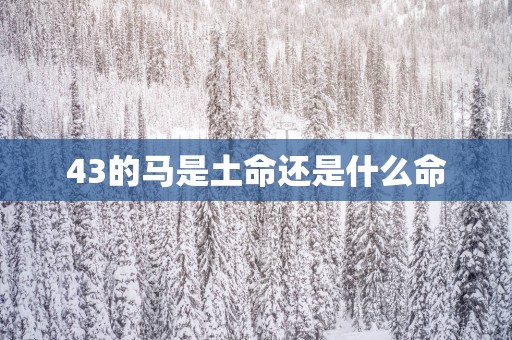 43的马是土命还是什么命
