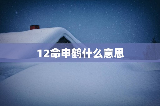 12命申鹤什么意思