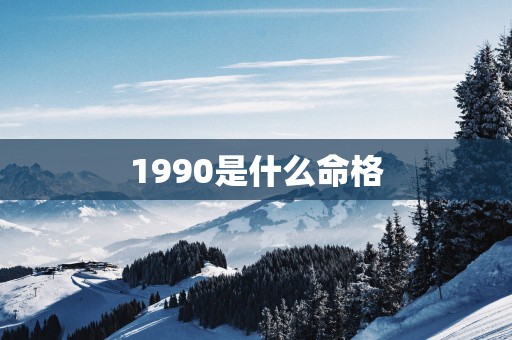 1990是什么命格
