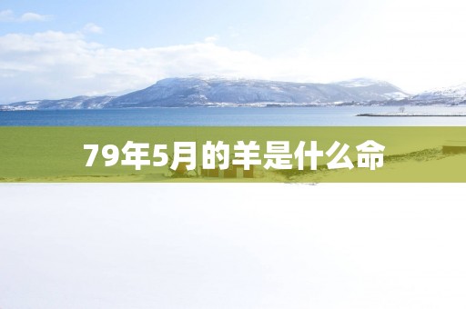 79年5月的羊是什么命
