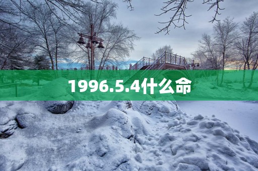 1996.5.4什么命