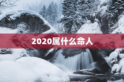 2025属什么命人