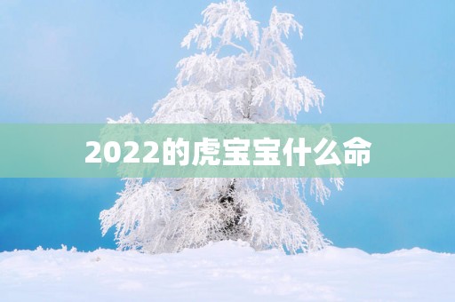 2025的虎宝宝什么命